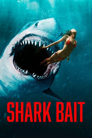 Shark Bait - Online kijken - VTM GO