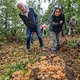 Het bos staat weer vol met paddestoelen, maar het devies is kijken, kijken, niet opeten