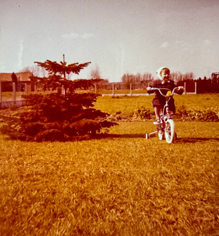 Kerstboom voor Brusselse Grote Markt komt dit jaar uit... Lier “Hij