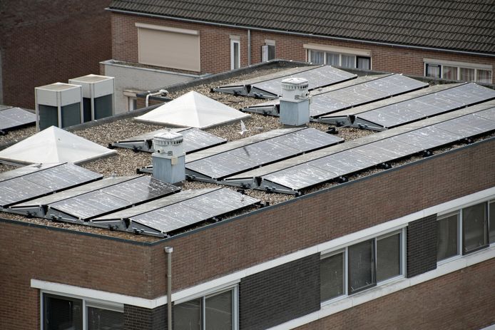Ook zonnepanelen op daken van kantoren, zoals hier aan het Oostelijk Bolwerk, ondervinden de gevolgen van de visdiefjes, zeker als er geen linten, netten of vlaggen zijn aangebracht.