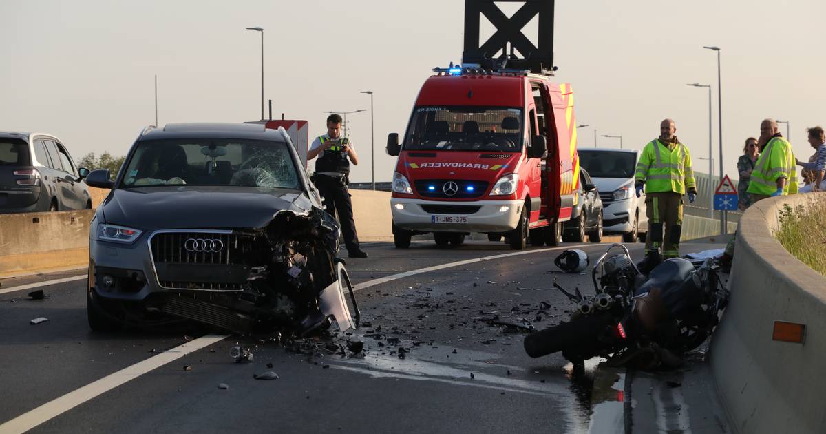 40 motorcyclists killed in a head-on collision on the E17 parallel road in Zwijndrecht |  Zwijndrecht