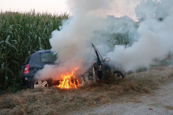 De bestuurder verloor de macht over het stuur en kwam met zijn auto in een maïsveld terecht.