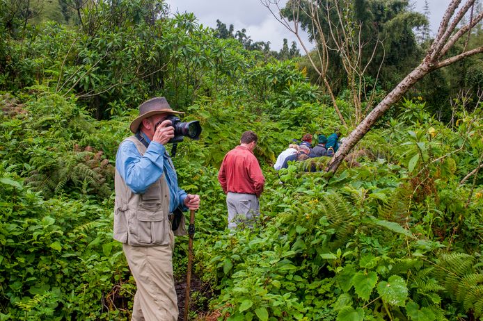 I turisti pagano 1.500 (US$) a persona per vedere un piccolo gruppo di gorilla di montagna in Ruanda.  Con questo denaro il parco nazionale viene preservato, i gorilla vengono protetti e anche i villaggi della zona ricevono aiuti finanziari.