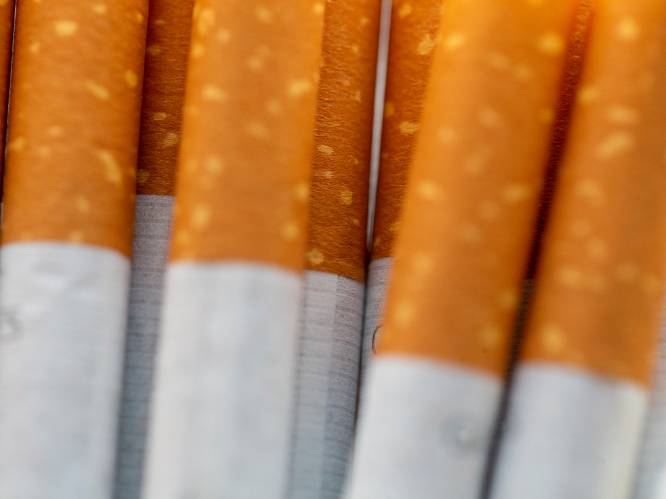 Vrachtwagenchauffeur steelt 36.000 euro aan tabak bij Lidl: “Ik wilde wat meer geld om mijn gezin te onderhouden”