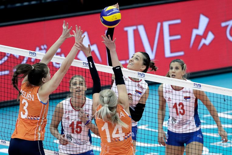 bibliotheek Zwijgend Lam Historische prestatie: Nederlandse volleybaldames bij Final Six op WK | De  Volkskrant