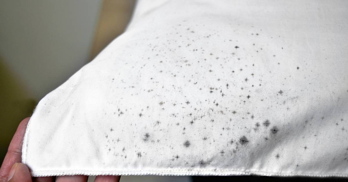 Afstotend onze niet Hoe krijg ik schimmel uit wasgoed? | Wonen | AD.nl
