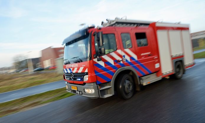Foto ter illustratie.