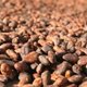 Prijs cacao stijgt door manipulatie