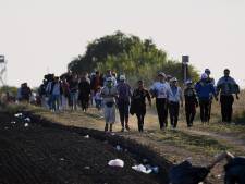 5.000 migrants en 24h à la frontière serbo-hongroise