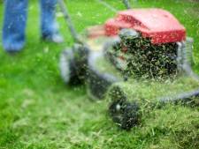 Getest: Dit de beste grasmaaier met snoer | Best | AD.nl