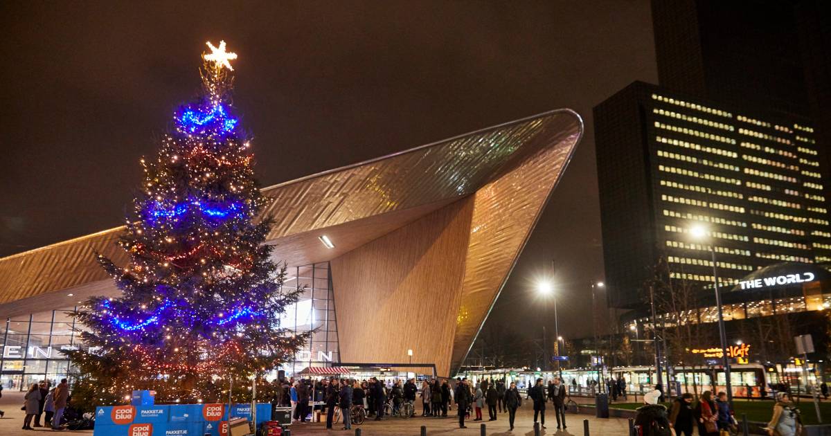 Hij komt er! Rotterdammers halen binnen één dag benodigde 35.000 euro op voor kerstboom