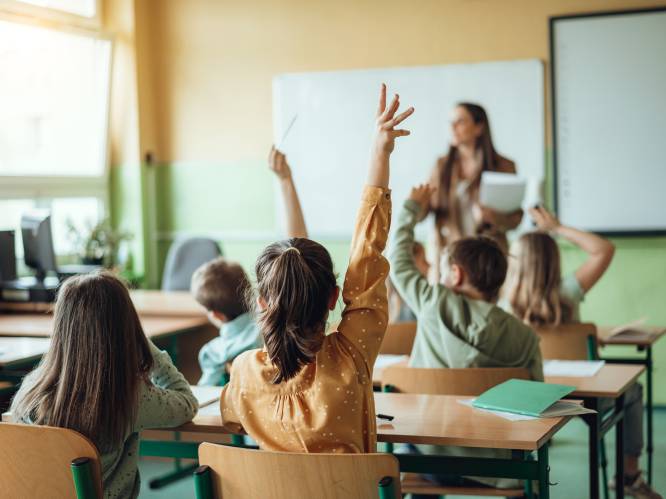 Vlaamse Onderwijsraad wil deel van buitengewoon onderwijs afschaffen via hervorming