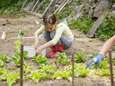 Je tuin onderhouden in tijden van waterschaarste? Zo pak je het aan