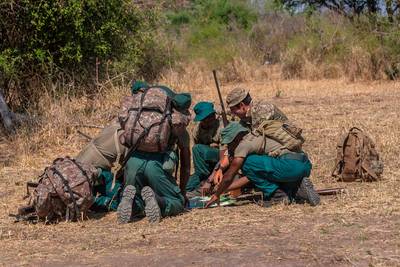 Britse soldaat vertrapt door olifant tijdens missie tegen Afrikaanse stropers