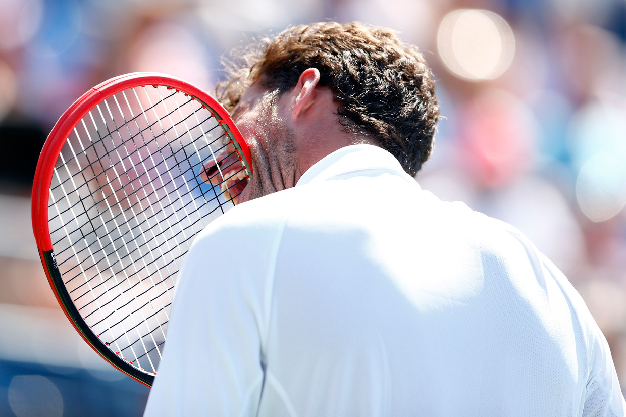 Robin Haase. Beeld afp
