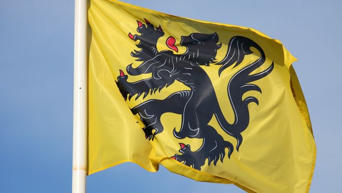 Turkse en Marokkaanse vlag in Ninove vervangen door Vlaamse Leeuw |  Binnenland | hln.be