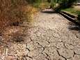 La sécheresse va perdurer bien au-delà de l’été en Wallonie