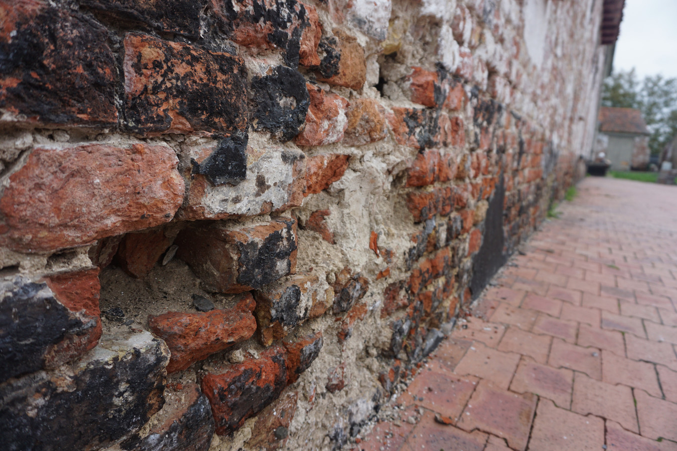 Oudenburg laat leerlingen Ter Zee Abdijhoeve onder handen nemen voor ...