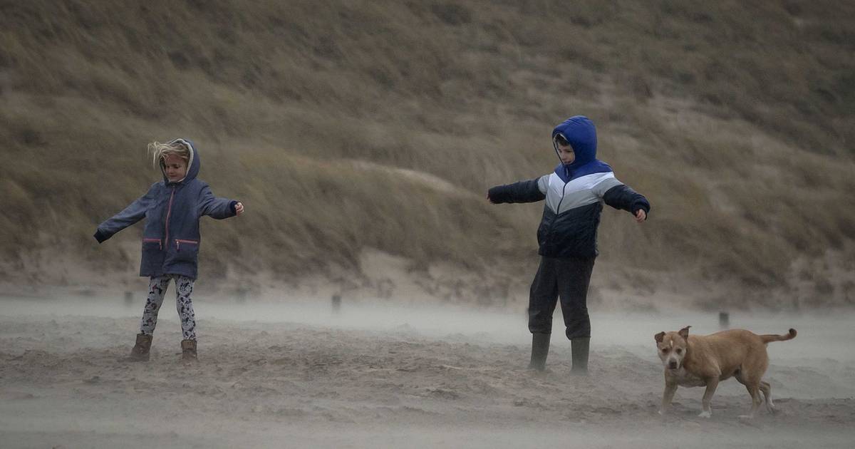 Opnieuw stevige buien en windstoten code geel Binnenland bndestem.nl