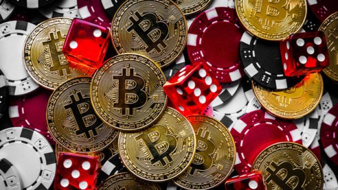 ‘Financieel levenslang’ dreigt voor Schiedamse bitcoin- en drugsdealer