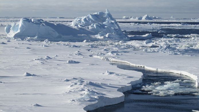 Verdwijning sneeuw doet ijs Antarctica | Buitenland | AD.nl
