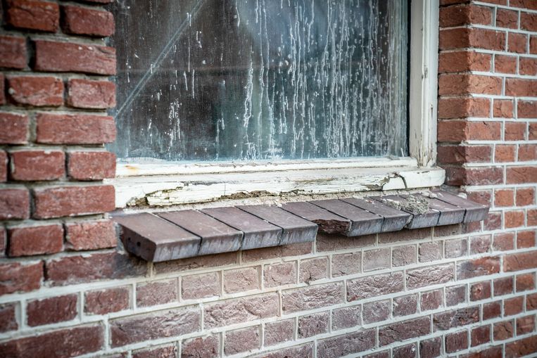 Afgebladderde, verrotte kozijnen en ontbrekende bakstenen. De villa waar de arbeidsmigranten in wonen is in slechte staat. Beeld Maikel Samuels