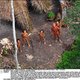 Geïsoleerde Amazone-stam maakt voor het eerst contact met buitenwereld