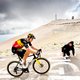 Jumbo-ploeg herrijst in mythische etappe met ritwinst Wout van Aert
