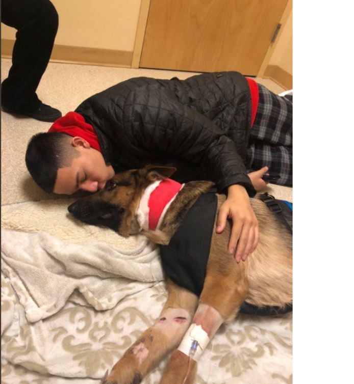 Rex met zijn baasje Javier Mercado vlak voor zijn operatie