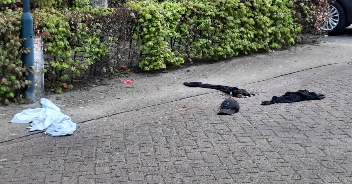 De nasleep van een overval in Helmond had een bijzonder hoog Bassie en Adriaan-gehalte (premium) .