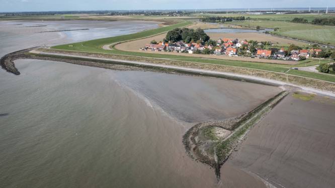 Waterschap: de zee is geen vijand maar een bondgenoot, daarom gaan we bouwen met natuur