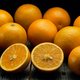 Citrus, citrus en nog eens citrus