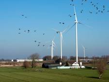 Het geruzie over windmolens is al begonnen in de coalitie van Wijk bij Duurstede