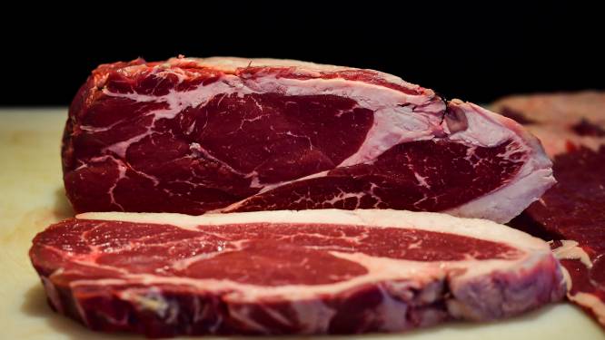 Onderzoek naar invoering vleestaks: opvallend want VVD en CDA waren altijd fanatiek tegen