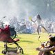Zuid overweegt barbecueverbod in Vondelpark