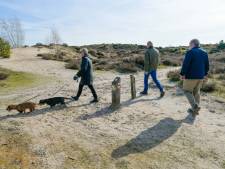 Afsluiting Hulshorsterzand is ‘wel erg stevig aangepakt’: Nunspeet gaat gesprek aan 