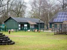 Open Huis bij kinderboerderij ‘De Kleine Meer’ Valkenswaard