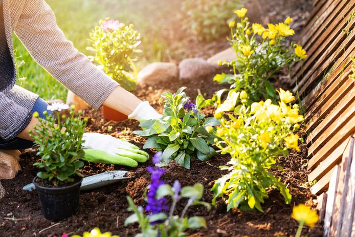 Le temps est venu de vous occuper de votre jardin et de votre terrasse, afin que vous puissiez en profiter pleinement une fois l’été arrivé.