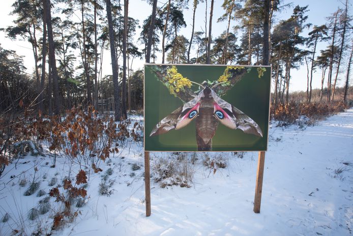 Beeld ter illustratie.