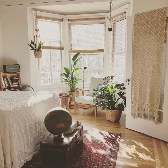 Planten zuiveren de lucht in je huis