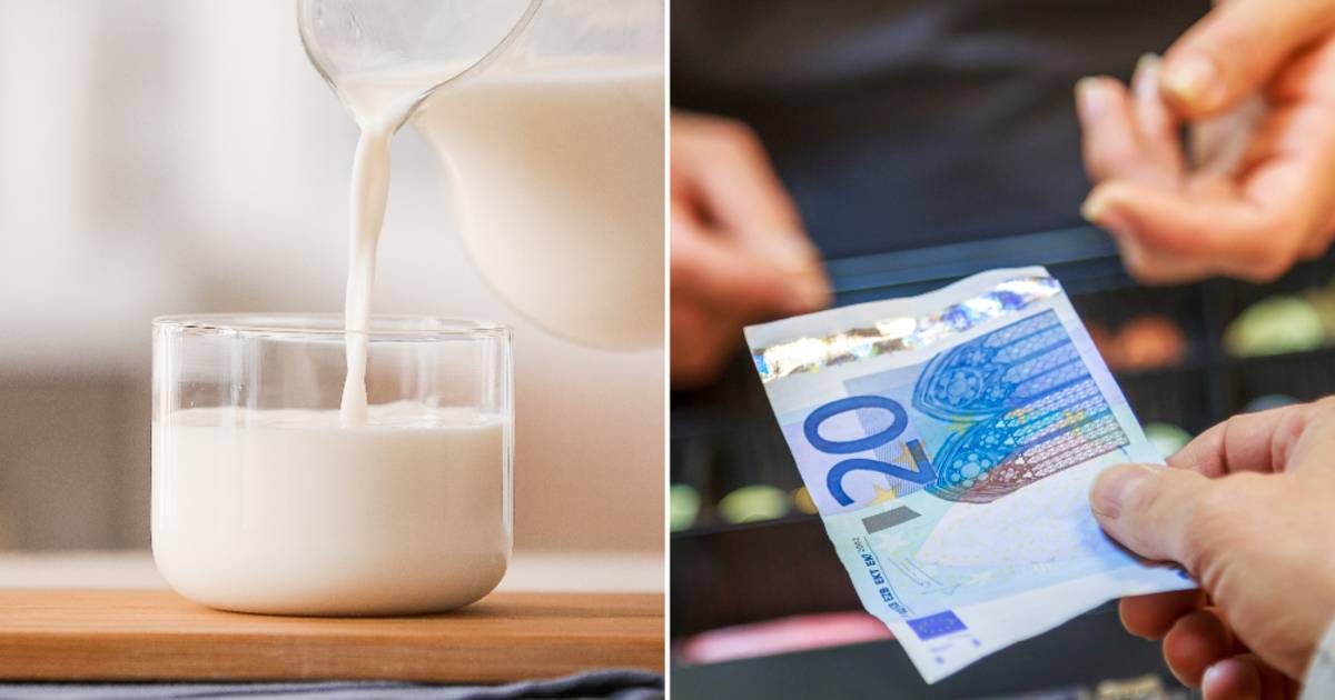 Vuoi risparmiare sugli ingredienti come il latte al supermercato?  Grazie a questi suggerimenti del nostro budget coach |  mangiare