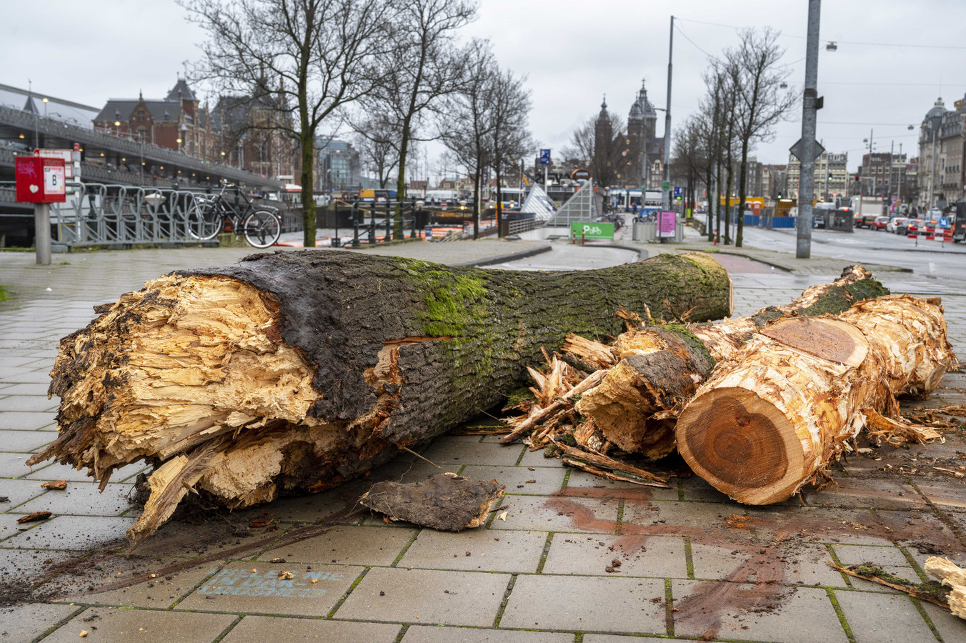Omgewaaide bomen in het centrum van Amsterdam.