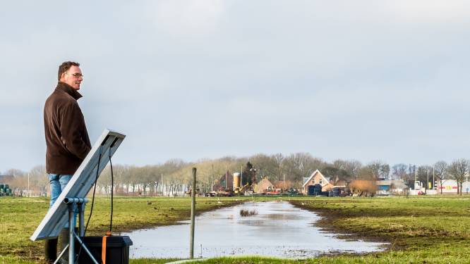 Rode loper uit voor weidevogel