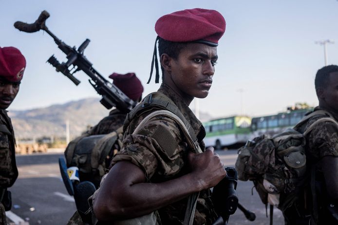 Het leger kreeg het bevel om de gebieden in Tigray die de voorbije weken heroverd werden op het TPLF, het Volksbevrijdingsfront van Tigray, te blijven controleren, maar niet verder op te rukken in de regio.