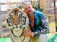 4 réalités éludées dans la série Netflix “Tiger King” selon le WWF