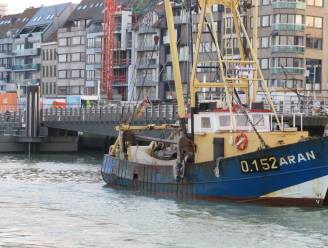 6% minder vis aangevoerd door Belgische vissers: inktvis voor het eerst meest gevangen soort