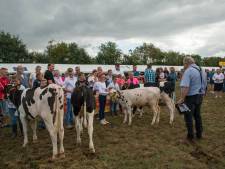 Plots is er wéér die onzekerheid voor evenementen op de Veluwe: ‘Het is eigenlijk ondoenlijk’