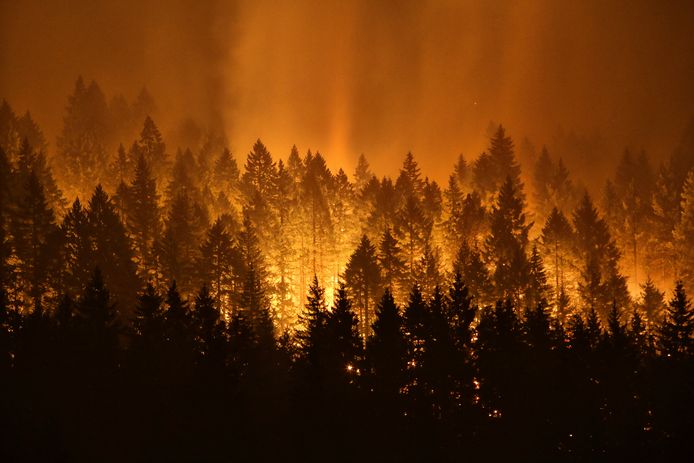 De bosbranden bij Oregon.