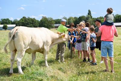 Toer de Boer geeft ook digitaal kijkje in de keuken: ‘Wist je dat als je bier drinkt, je daar de koe