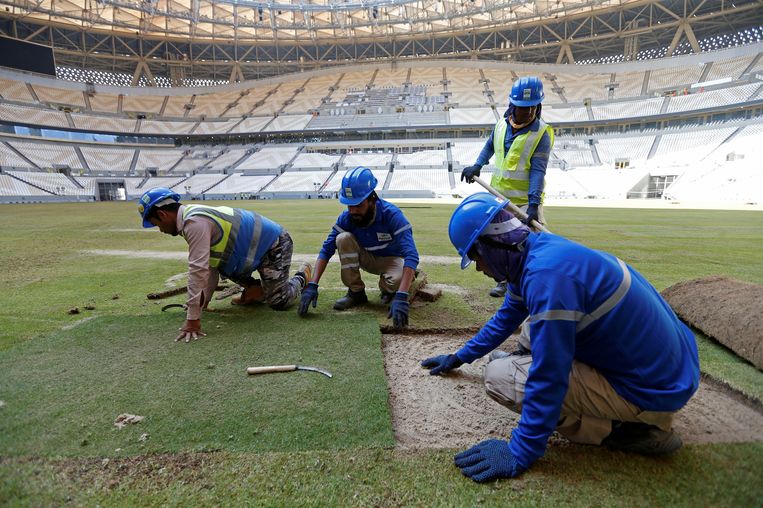 Bouwvakkers werken aan de grasmat van het stadion waar de finale van het WK in Qatar zal worden gespeeld. 
 Beeld Reuters 